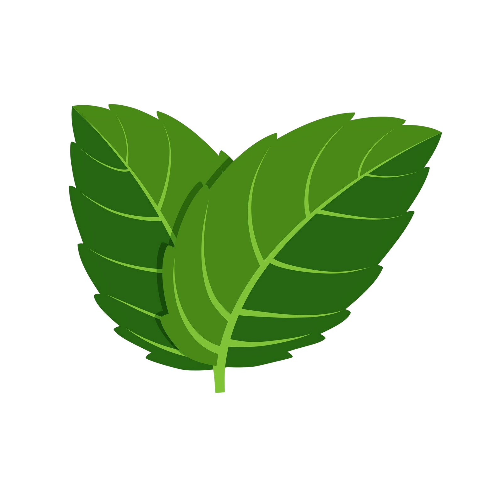 Organic green shape bottom right
